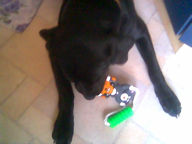 Obraz019.jpg